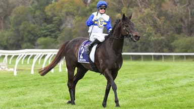 “Never looked better”: Jigsaw primed for overseas Group 1