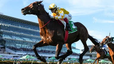 Bott: Sir Delius may be ruled out of 2026 Melbourne Cup