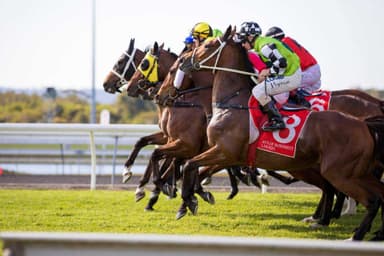 Chris Nelson's Saturday best bets at Sunshine Coast (24/01)