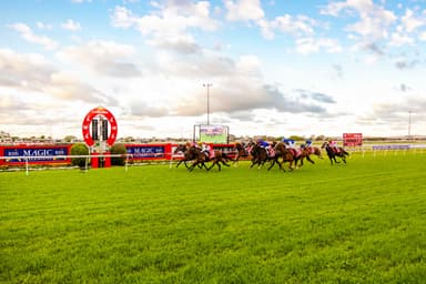 Thursday best bets from Pfitzner & Hyland (29/01)