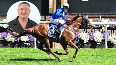 YES or NO: Which horse can win the Lightning Stakes