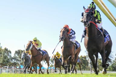 Correct Weight: Nick Noonan’s Sunday best bets (28/12)