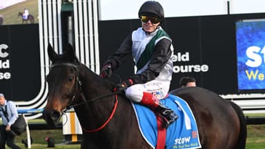 Mr Brightside’s back! Hayes ecstatic with trial; confirmed for Memsie