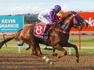 Tasracing's Sunday best bets at Devonport (26/07)