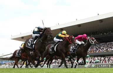 “Ready to fire”: Gannon's Saturday best at Rosehill (29/11)