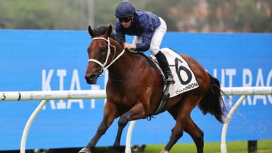 The horse J-Mac wants to follow in the Queensland Carnival