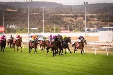 Tasracing's Wednesday best bets at Launceston (26/11)