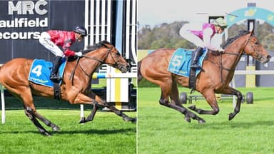 "One for your multis": Maher's camp touts top winning hope