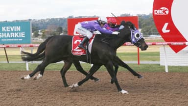Tasracing's Friday best bets at Launceston (20/03)