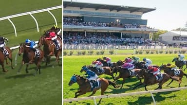 "Another level": Brown confident in horse at odds for Northerly