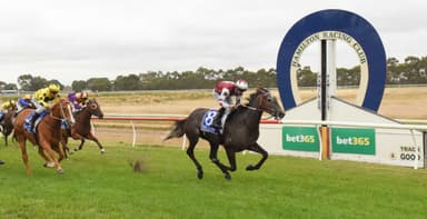 Tuesday best bets from Campbell Brown (07/04)