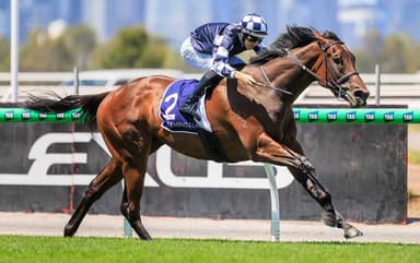 Why this filly could be the best horse O'Brien has ever trained