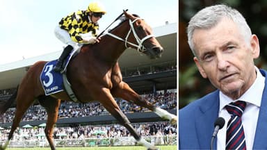 McAvaney declares the best horse in Australia 