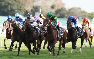 “Looks primed”: Gannon's Saturday best at Randwick (20/12)