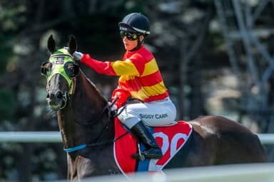Colin McNiff's Friday racing preview at Launceston (03/04)