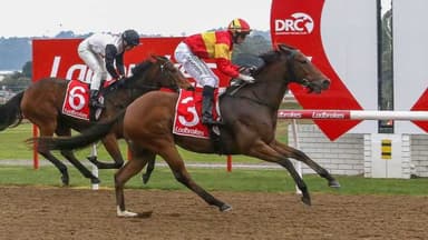Tasracing's Sunday best bets at Devonport (31/05)