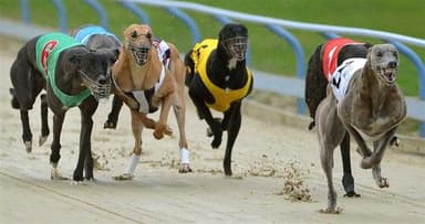 Mitch Ebeyer's Thursday Focus and best bets at Q2 Parklands (27/11)