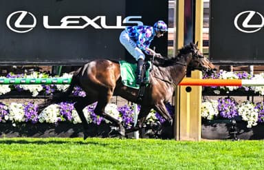 The leading contenders for the 2026 All-Star Mile