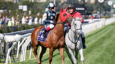 Maher: Jimmysstar's going “as good as ever” ahead of Group 1