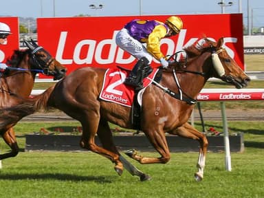 Tasracing's Friday best bets at Launceston (13/03)