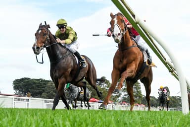 Correct Weight: Nick and Trav Noonan’s Sunday best bets (14/12)