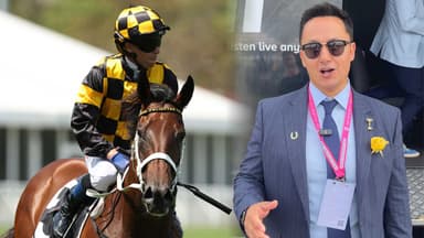“Will not be beat”: The Racing Blogger declares Joliestar at Ascot