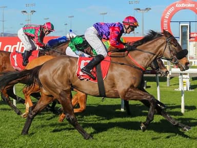 Tasracing's Sunday best bets at Hobart (10/05)