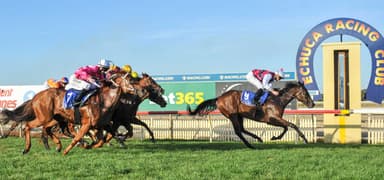 Correct Weight: Nick and Trav Noonan’s Sunday best bets (08/03)