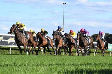 Chris Nelson's Saturday best bets at Doomben (07/02)