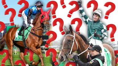 Who deserves to win Australian Horse of the Year?