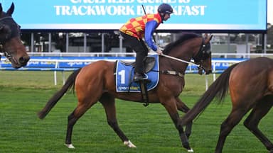 Futures tips for Australian Cup, Randwick Guineas, All-Star Mile & more