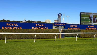 Mick Gannon's Wednesday best at Randwick Kensington (21/01)
