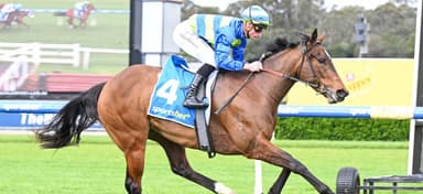 Futures tips for Oakleigh Plate, Blue Diamond, Golden Slipper & more