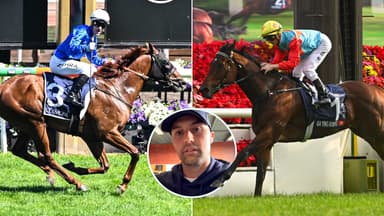 Tentyris vs Ka Ying Rising: Freedman calls for world's best sprint off 