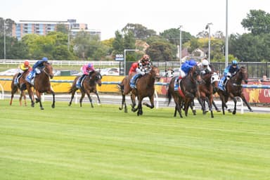 Wednesday best bets from Brown & Taggart (18/02)