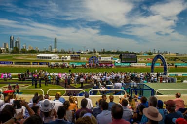 The "promising" colt at tasty odds who could win a Magic Millions