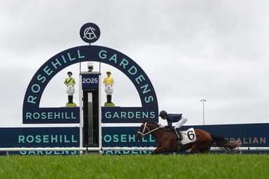 “Strong winning hope”: Gannon's Sunday best at Rosehill (07/12)