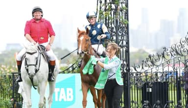 Down in class & over the odds: Maher’s Zipping top-liner 