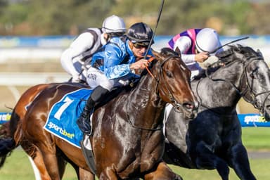 Racing SA's Saturday best bets at Morphettville (11/04)