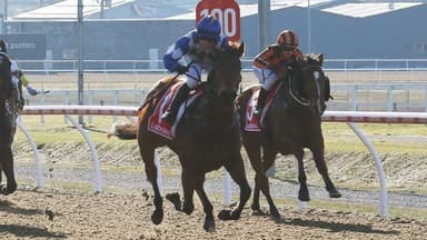 Tasracing's Sunday best bets at Devonport (17/05)