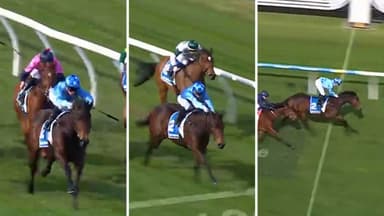 "Need more evidence": Why Gately isn't getting carried away with 2YO filly