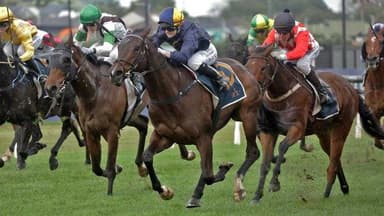 Promising filly heads to winter break a winner