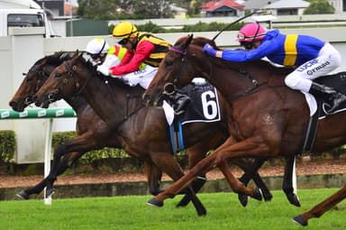 Chris Nelson's best at Doomben & Randwick (11/04)