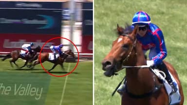 Why hyped colt "for the future" can win Blue Diamond