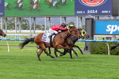 Racing SA's Saturday best bets at Morphettville (02/05)