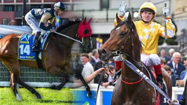 Can Birdman outdo Sir Delius in the Cox Plate?
