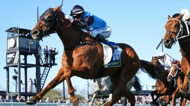 Why McEvoy "doubts" Half Yours can win All Aged