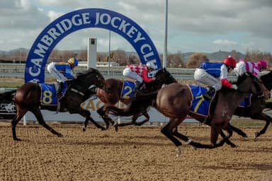 NZ Racing tips: Jayne Ivil's Wednesday best bets (29/07)