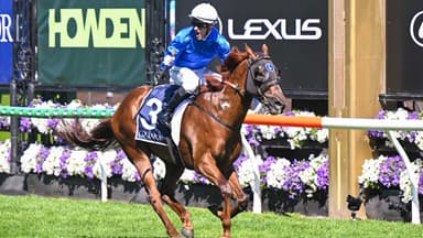 Retirement for Tentyris? Godolphin answer the question 