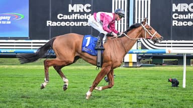 “Star of the future” sends warning to returning spring competitors